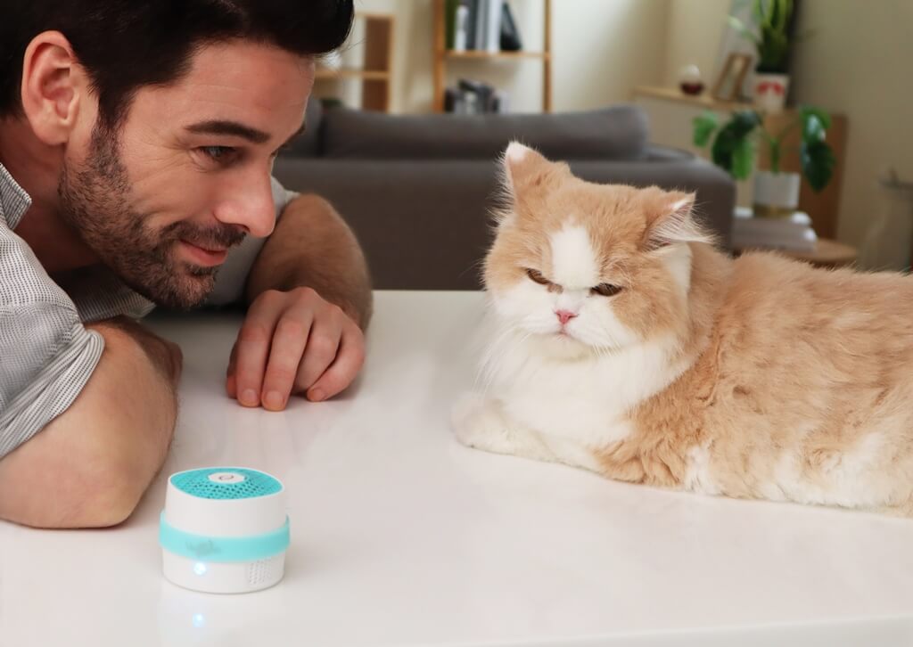 Winner small image - Wiseome Inc.